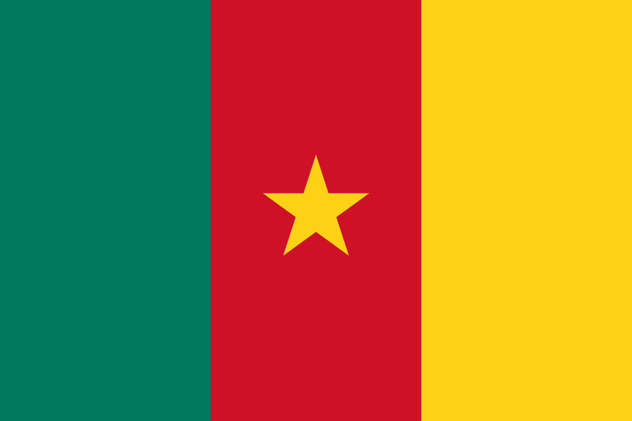 CM flag
