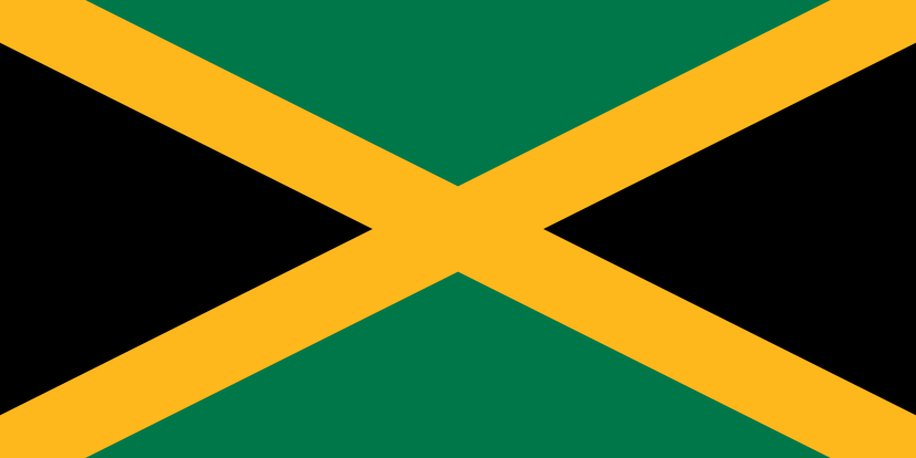 JM flag