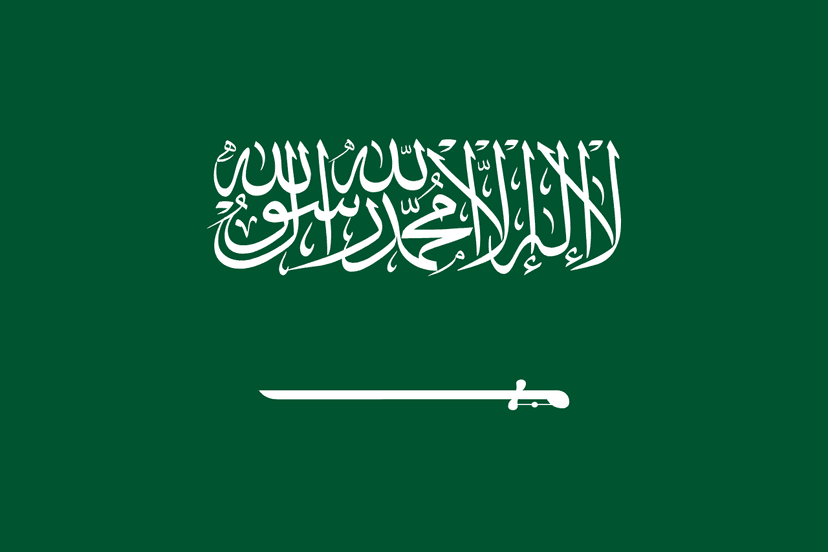 SA flag